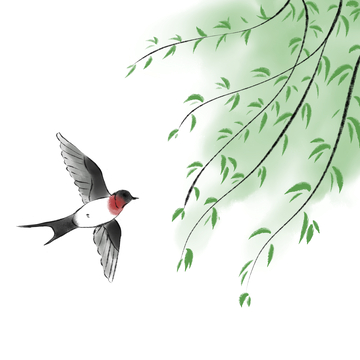 春天的柳树和燕子