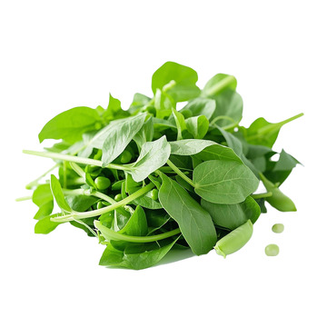 新鲜绿叶蔬菜实拍图