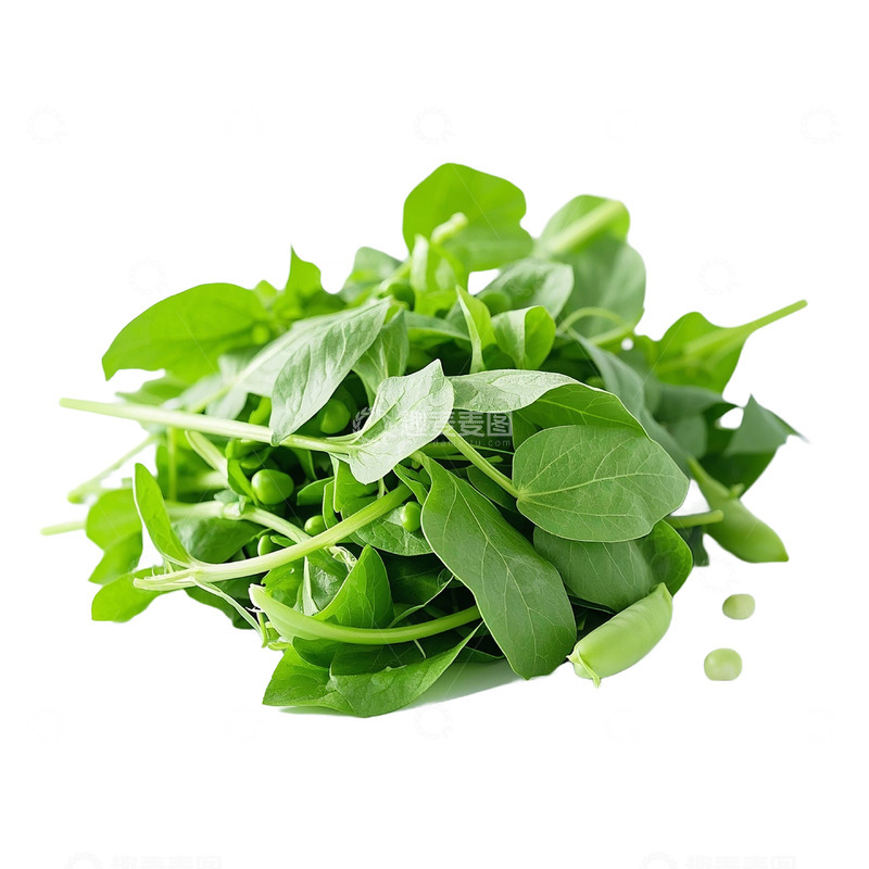 高清大图下载【趣麦麦图】新鲜绿叶蔬菜实拍图