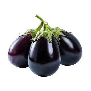 圆茄子成组展示图