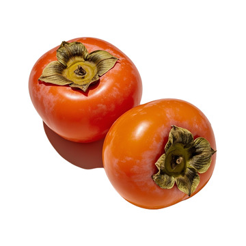 柿子双果展示摄影素材