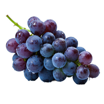 紫葡萄成串展示摄影素材