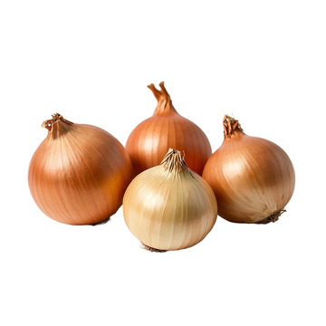 洋葱组合棕色呈现图