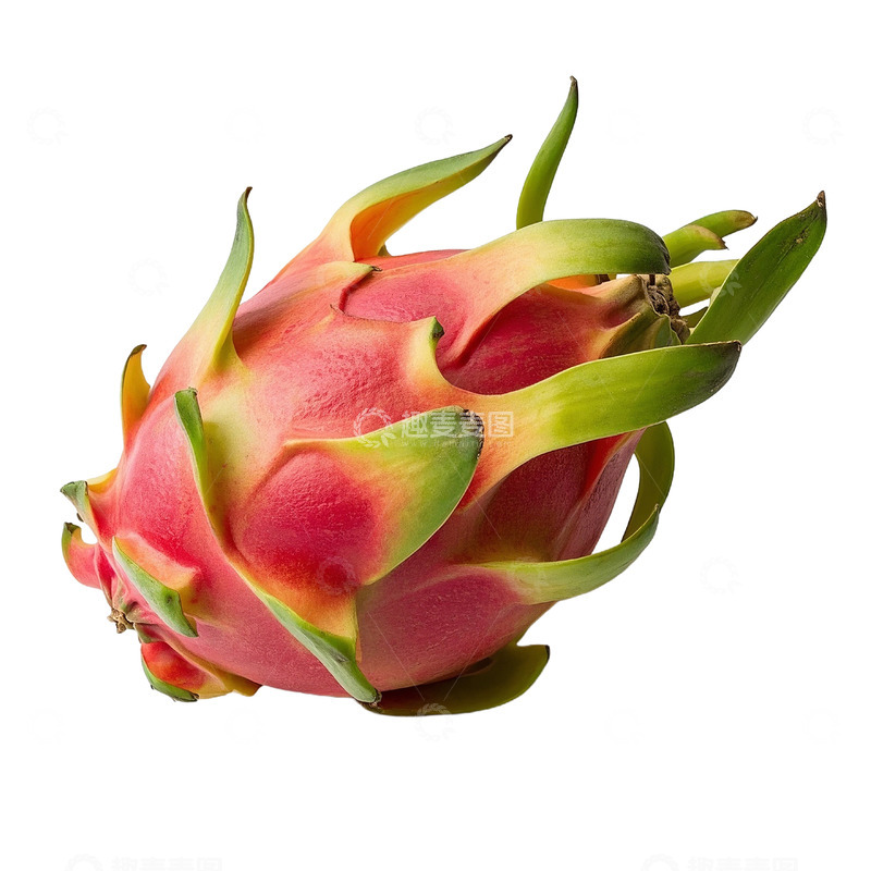 高清大图下载【趣麦麦图】火龙果单果摄影素材