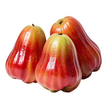 莲雾成组展示摄影素材