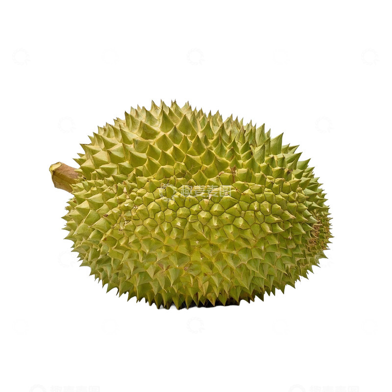 高清大图下载【趣麦麦图】完整榴莲摄影素材