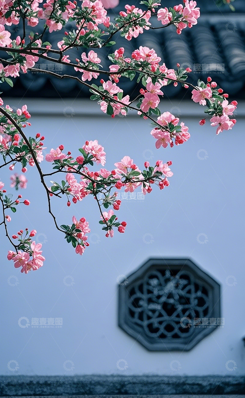 高清大图下载【趣麦麦图】江南的海棠花2