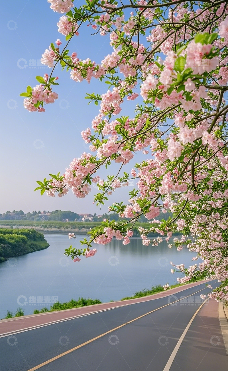 高清大图下载【趣麦麦图】路边的桃花树2