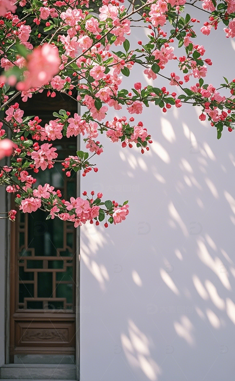 高清大图下载【趣麦麦图】墙边的海棠花1