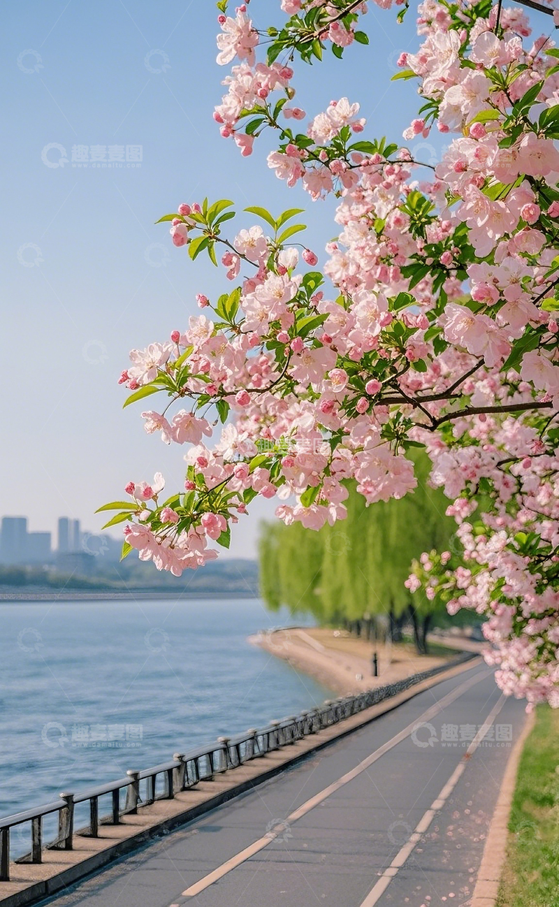 高清大图下载【趣麦麦图】路边的桃花树