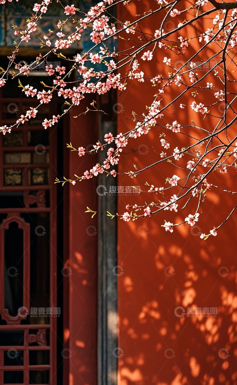 高清大图下载【趣麦麦图】红墙边的桃花1