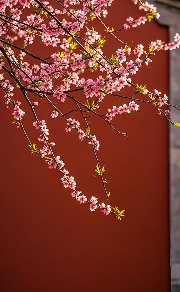 红墙边的桃花