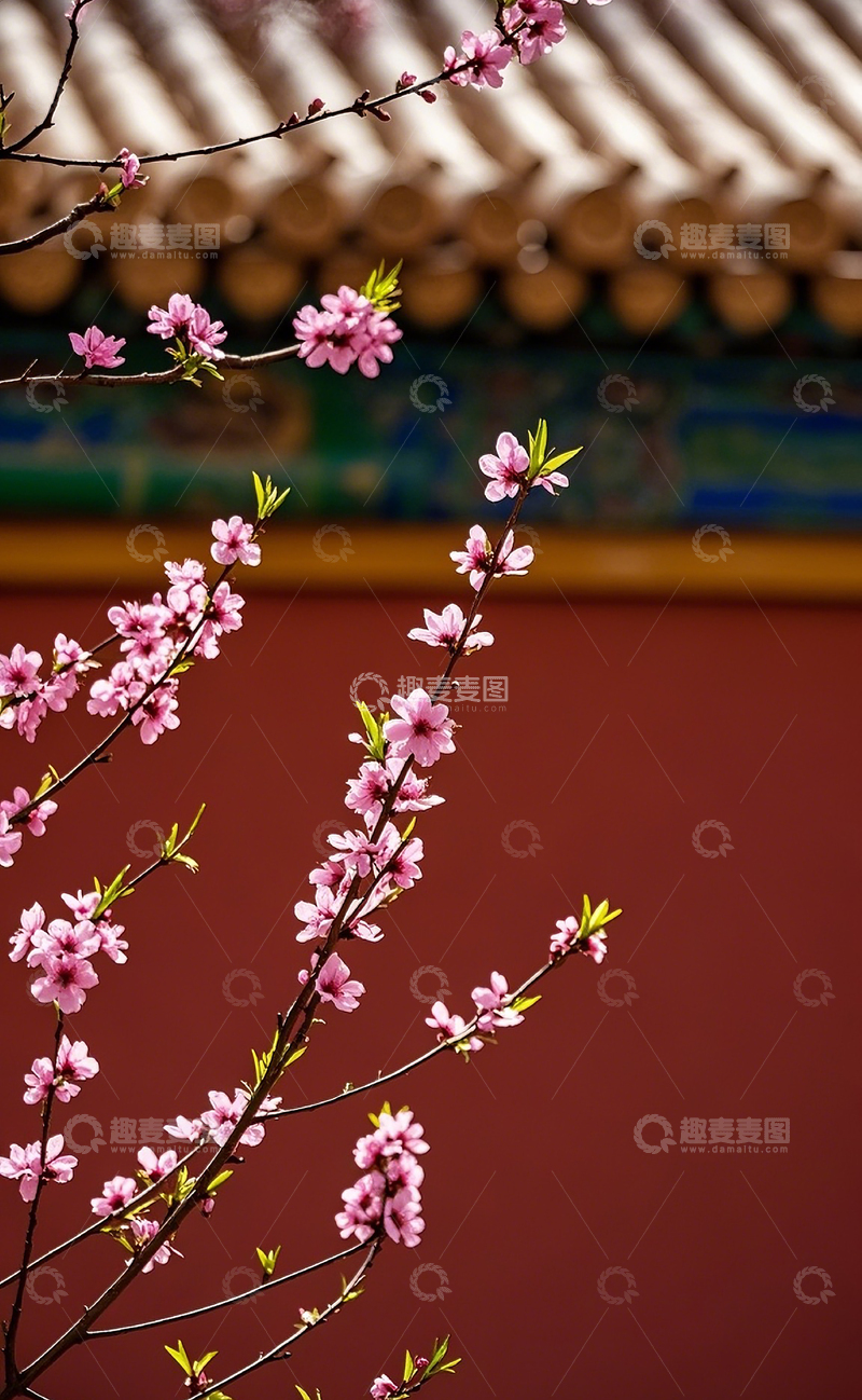 高清大图下载【趣麦麦图】红墙边的桃花2