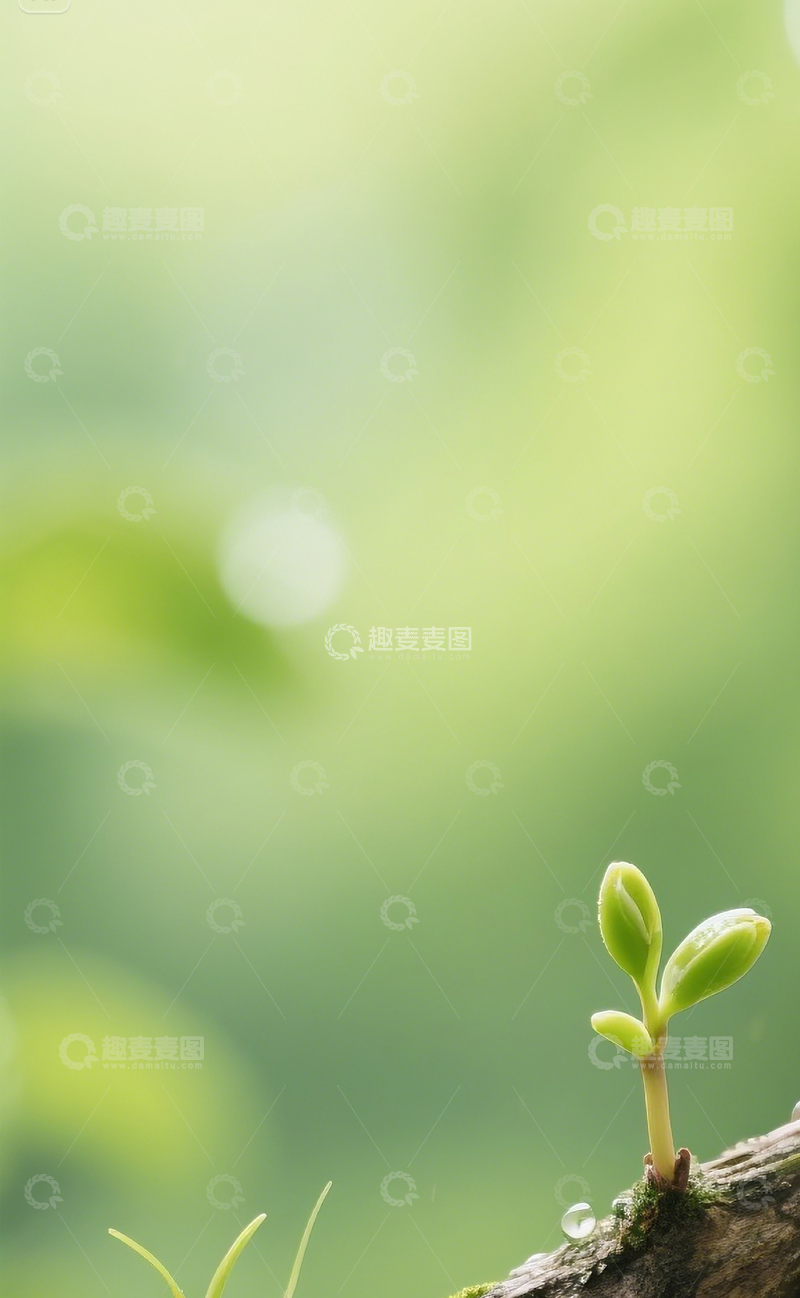 高清大图下载【趣麦麦图】春天万物萌芽