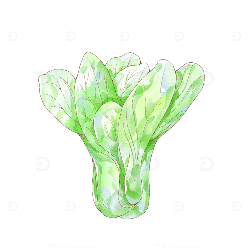 源文件下载【趣麦麦图】渐变绿色小清新插画风植物青菜