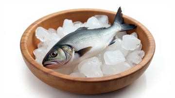 冰上鲜鱼