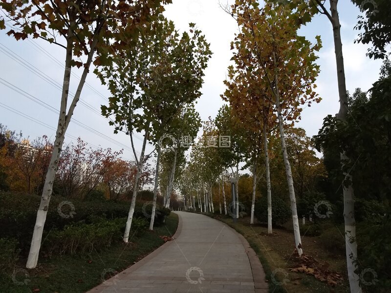 高清大图下载【趣麦麦图】林间小路曲径通幽