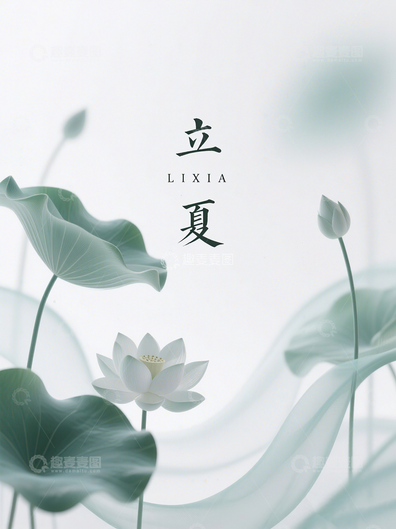 高清大图下载【趣麦麦图】二十四节气立夏绿色渐变荷花背景13