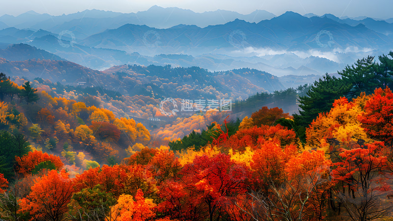 高清大图下载【趣麦麦图】秋天的彩色森林