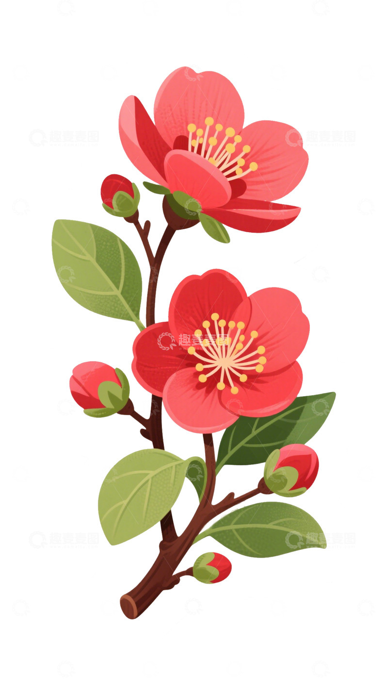 高清大图下载【趣麦麦图】红色花卉植物素材免扣元素