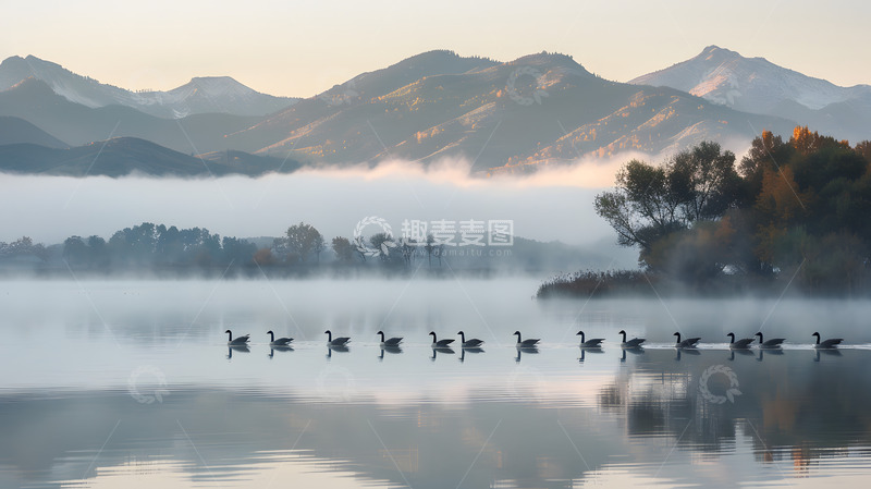 高清大图下载【趣麦麦图】江面上的一行大雁1