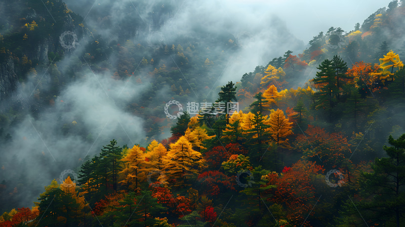 高清大图下载【趣麦麦图】云雾大山秋日枫林
