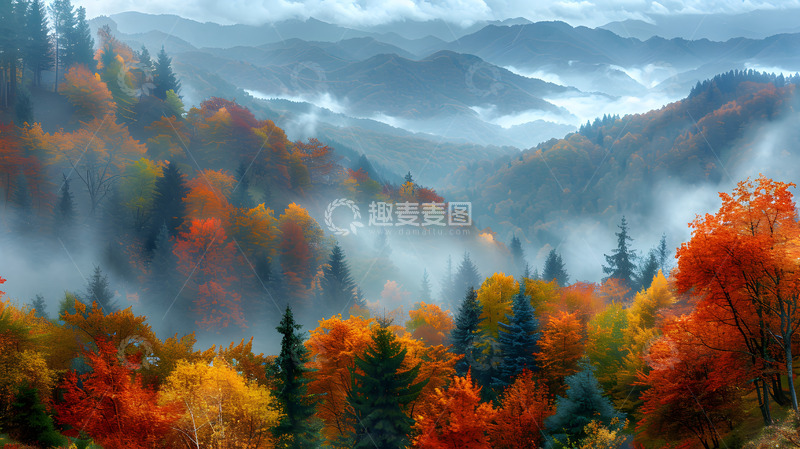高清大图下载【趣麦麦图】云雾大山秋日枫林1