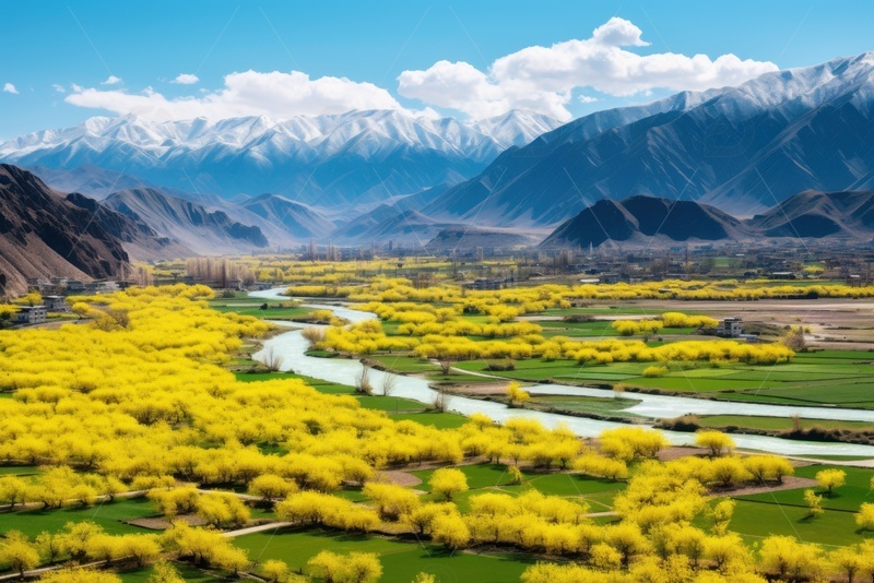 高清大图下载【趣麦麦图】平原山谷树木自然美景