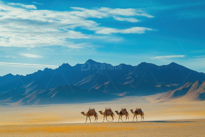 高清大图下载【趣麦麦图】沙漠戈壁骆驼自然美景