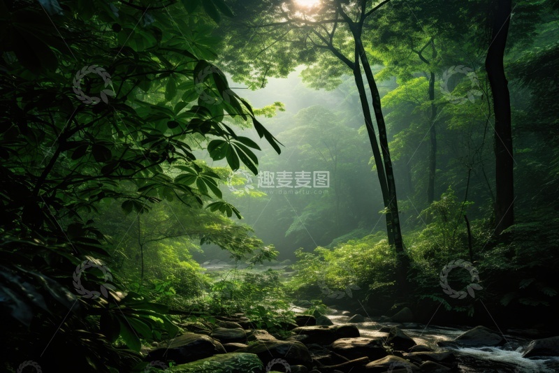 高清大图下载【趣麦麦图】森林树木自然美景1