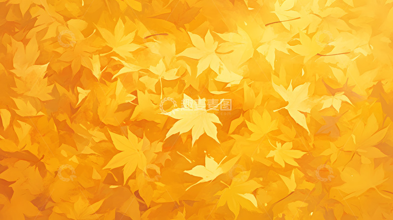 高清大图下载【趣麦麦图】秋日满屏银杏叶