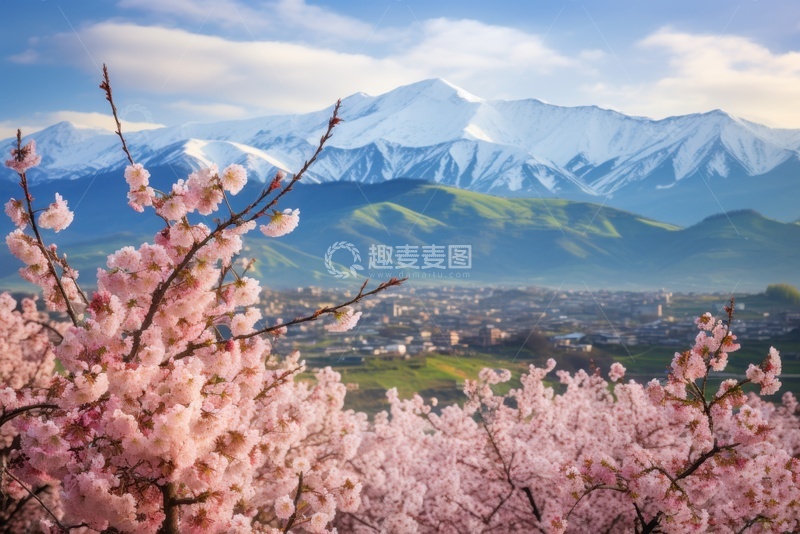 高清大图下载【趣麦麦图】桃树远山自然风景