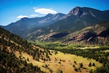 荒原树木山脉美景