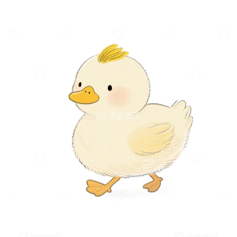 高清大图下载【趣麦麦图】-鸭子小动物卡通免扣手绘素材