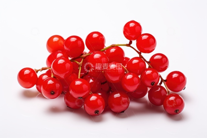 高清大图下载【趣麦麦图】新鲜的五味子