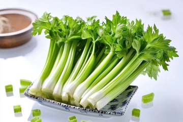 新鲜的一捆芹菜