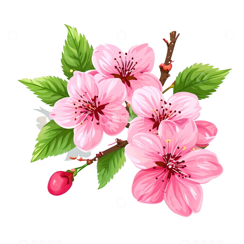 水彩风格粉色花卉花朵矢量画