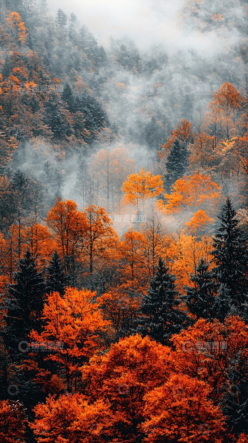 高清大图下载【趣麦麦图】秋季山林雾气缭绕