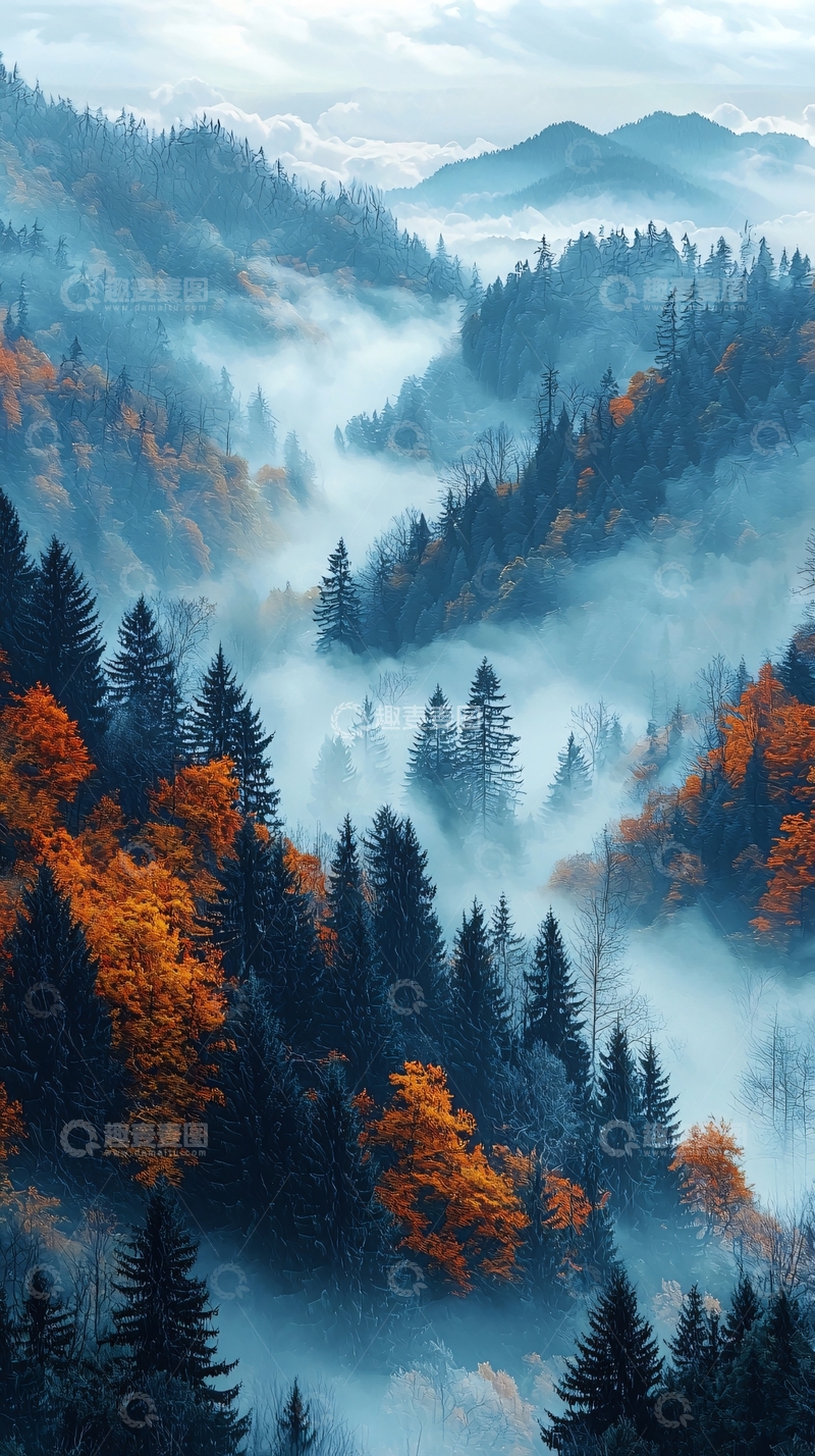 高清大图下载【趣麦麦图】山间雾气缭绕的森林