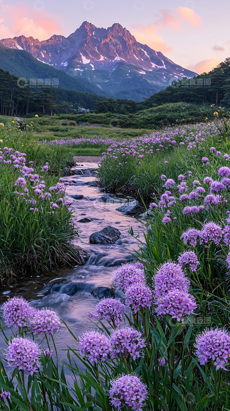 高清大图下载【趣麦麦图】紫色花朵小溪山峰的风景