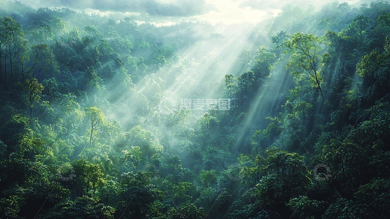高清大图下载【趣麦麦图】阳光穿透森林的景象