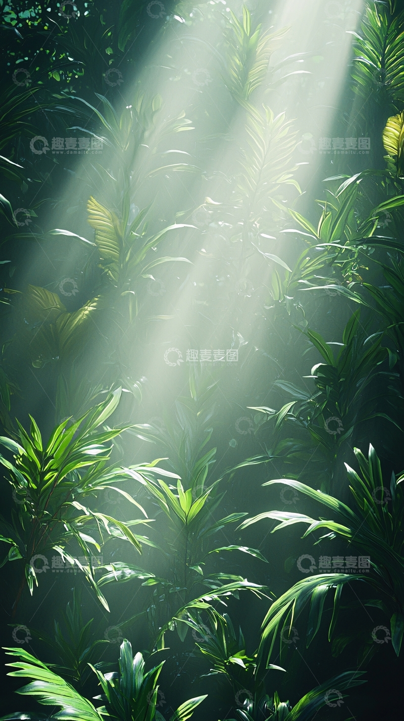 高清大图下载【趣麦麦图】阳光穿透茂密森林