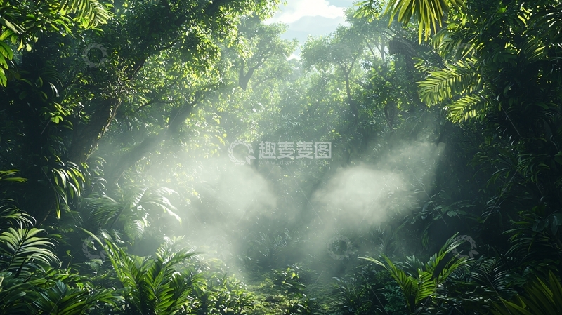 高清大图下载【趣麦麦图】阳光穿过茂密森林的光束