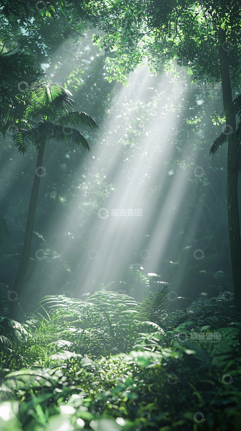 高清大图下载【趣麦麦图】森林阳光穿透绿叶