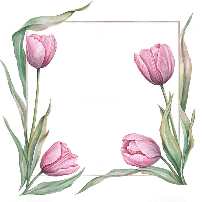 高清大图下载【趣麦麦图】手绘卡通小清新植物花卉边框免抠元素