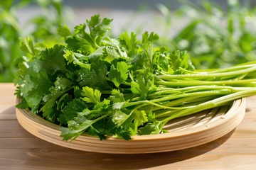 一盘绿色的芹菜