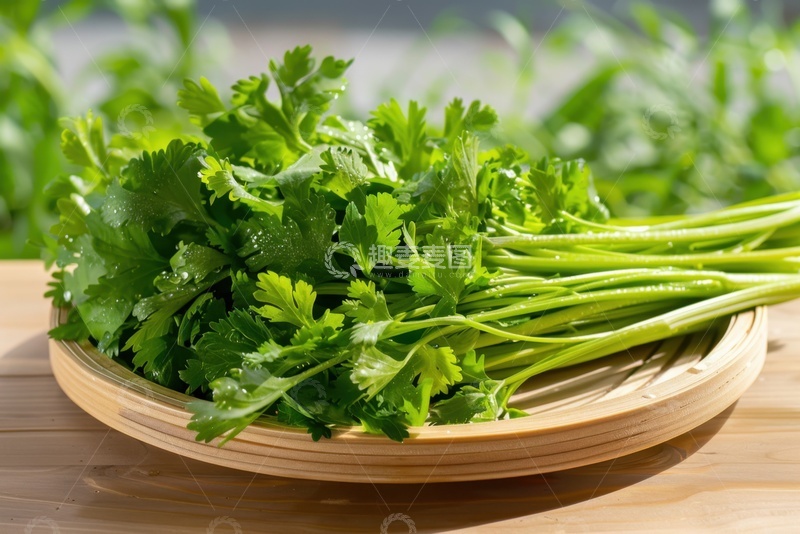 高清大图下载【趣麦麦图】一盘绿色的芹菜