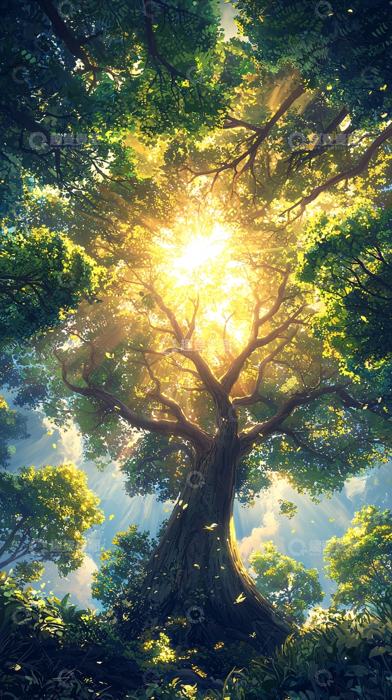 高清大图下载【趣麦麦图】参天大树阳光穿透树叶