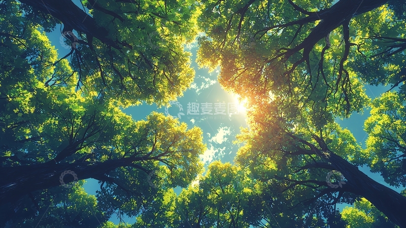 高清大图下载【趣麦麦图】仰望天空的绿色树木