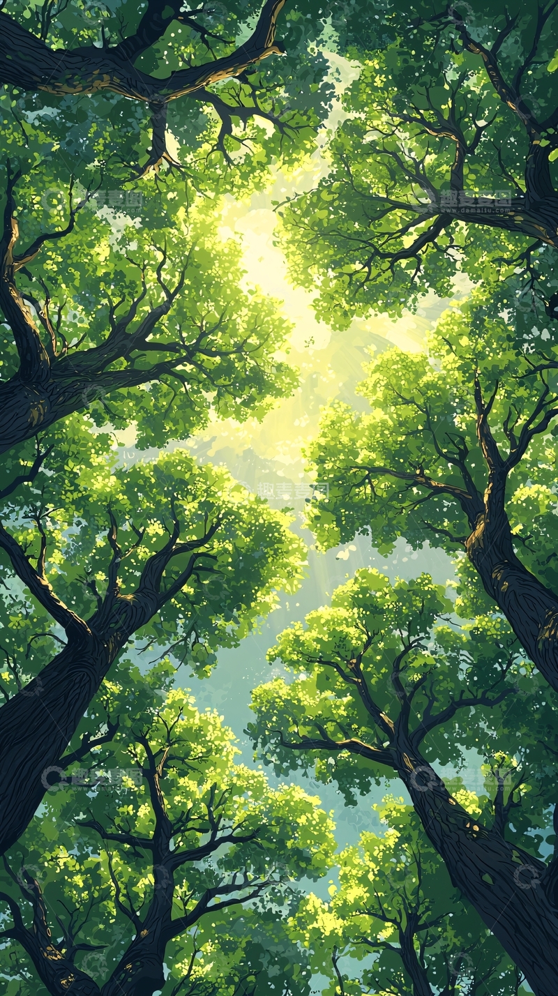 高清大图下载【趣麦麦图】仰望视角下的茂密森林
